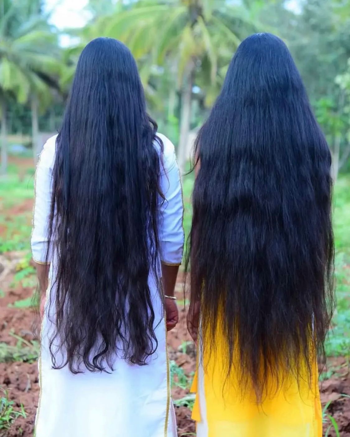 Adivasi Herbal Hair Oil